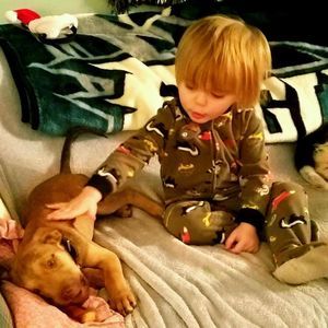 Meet your Posher, Derekanddenise