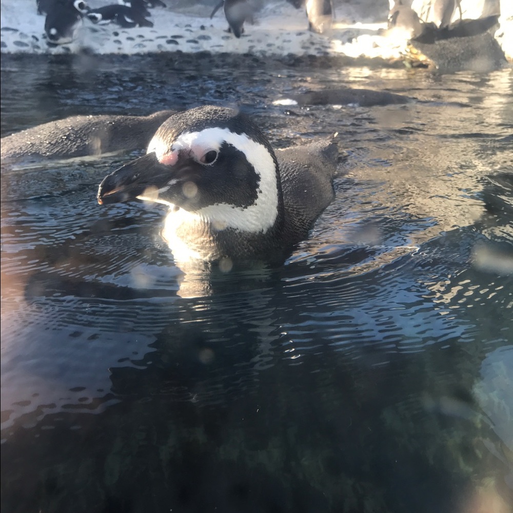 Meet your Posher, Christine