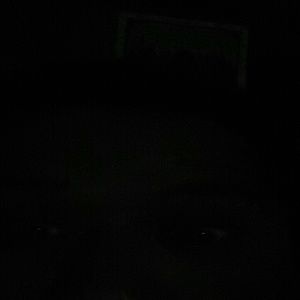 Meet your Posher, Araceli