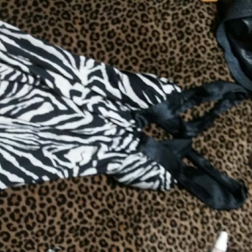 Zebra striped mini dress