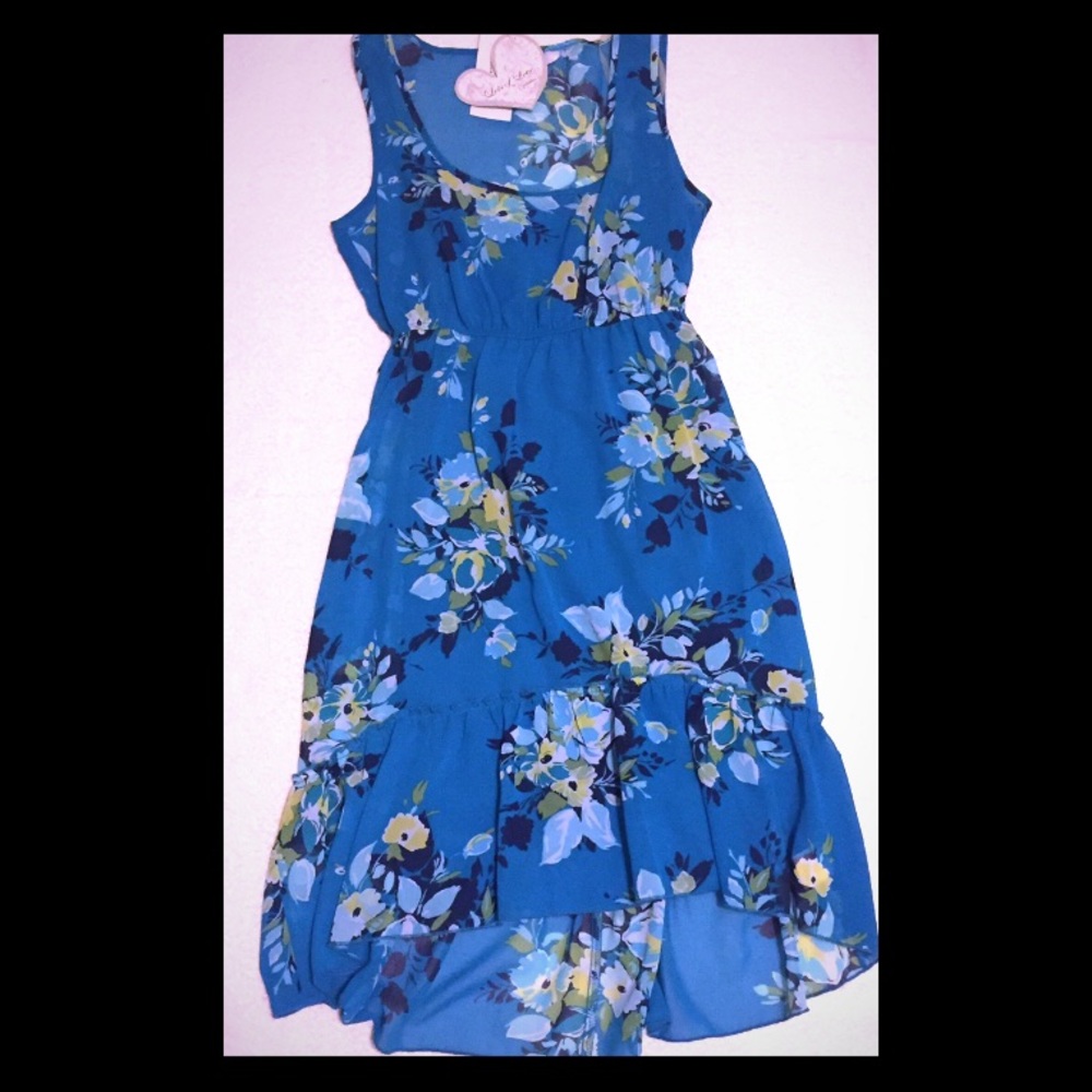 NWT Blue Floral Dress Lots of Love by Speechless S