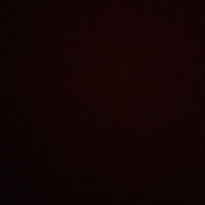 Meet your Posher, Delilah