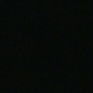 Meet your Posher, Ricky