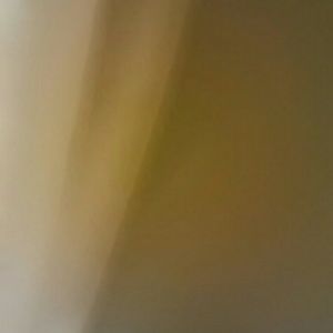 Meet your Posher, Sylvia