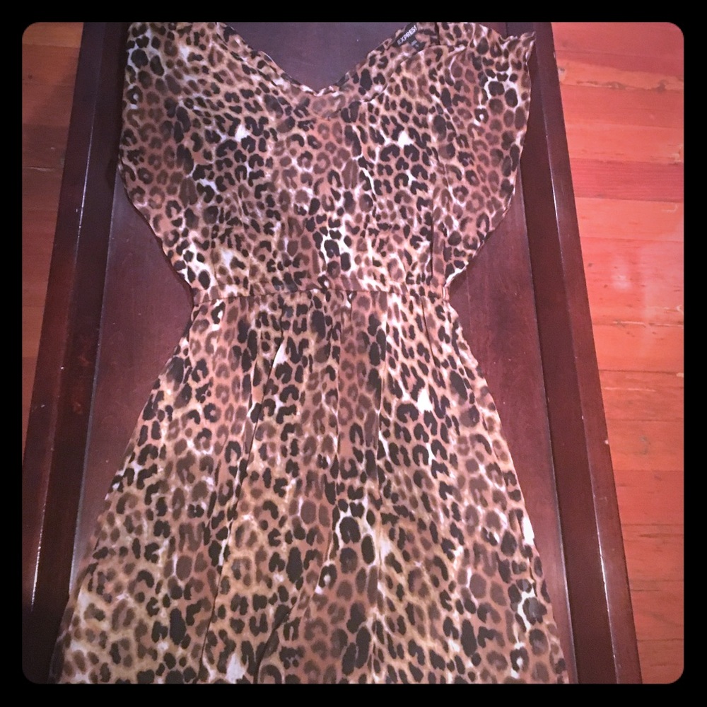 Small Express Chettah Dress