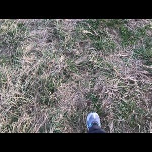 Meet your Posher, Kortney