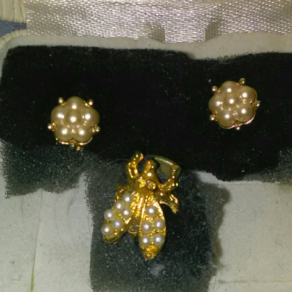 Bug brooch and matching earrings