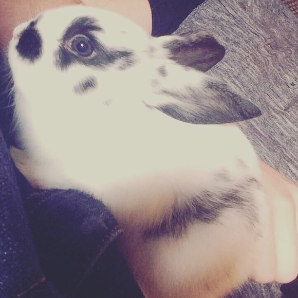 Meet your Posher, Gregory - Picture 1 of 1