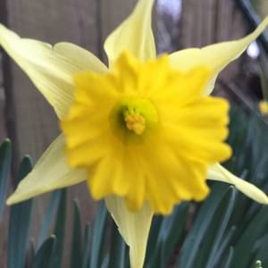 Meet your Posher, Betty