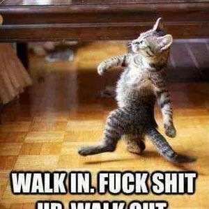 Meet your Posher, Katrina