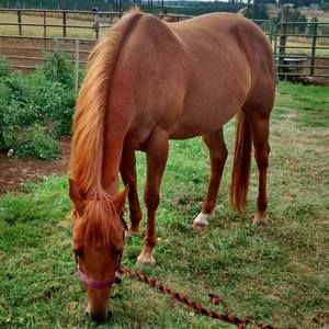 Meet your Posher, Nicole