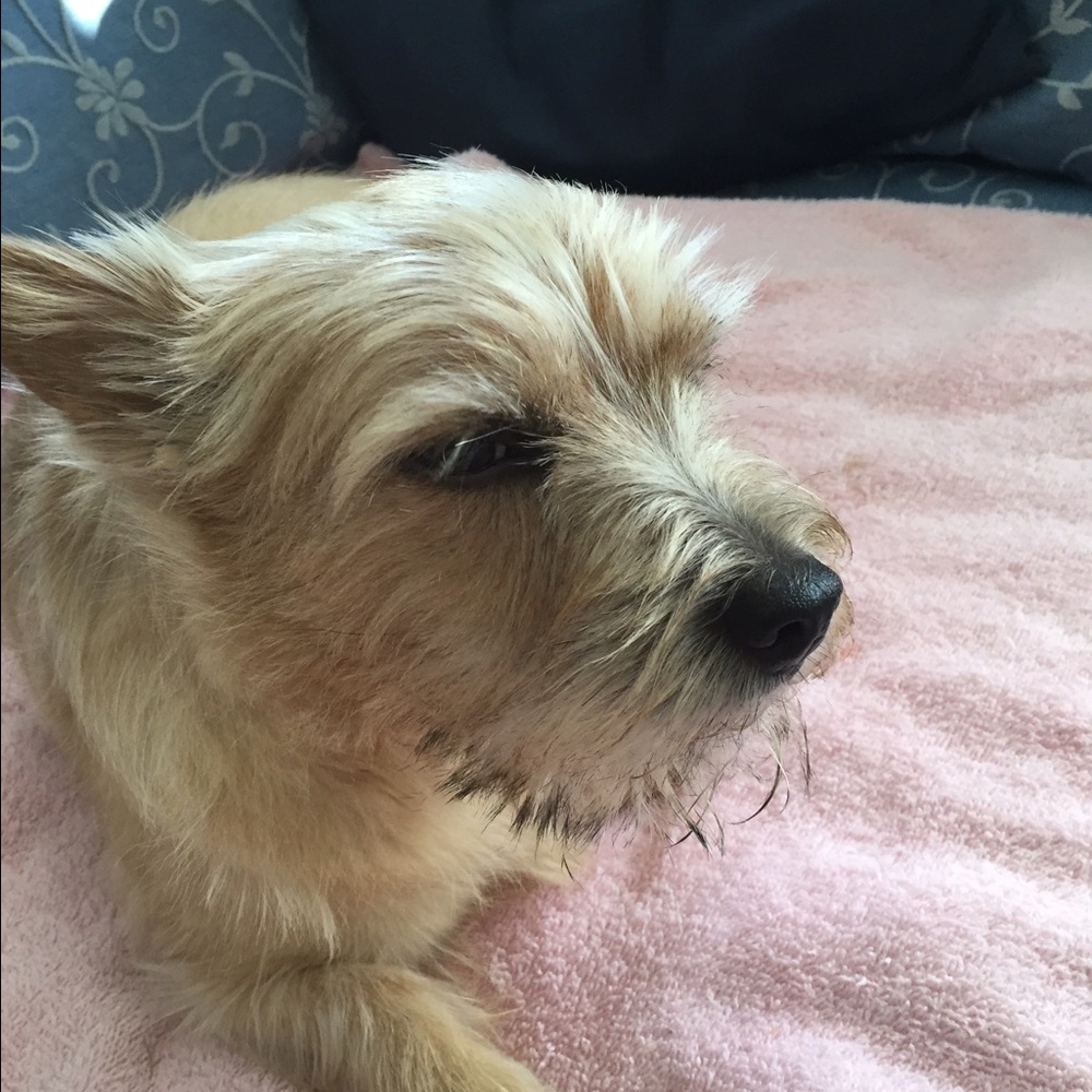 Meet your Posher, Barbara