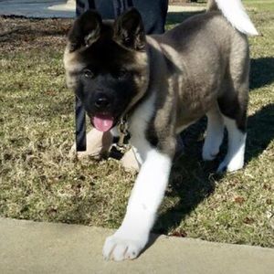 Meet your Posher, Shelly