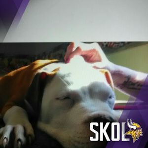 Meet your Posher, Bottoms