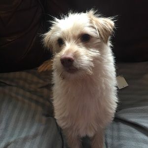 Meet your Posher, Olivia