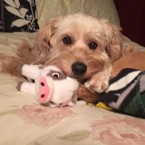 Meet your Posher, Jess