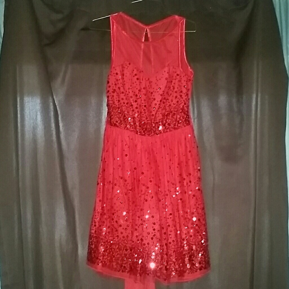 Beautiful Red Sequin Dress
