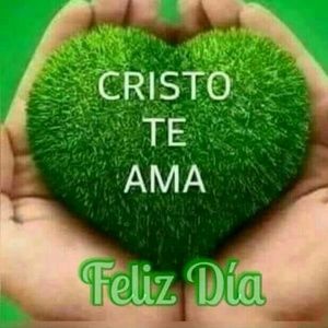 Meet your Posher, Julio