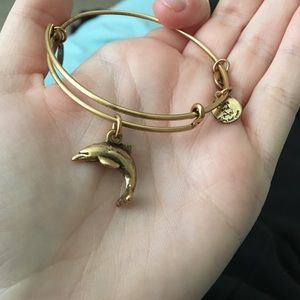 Dolphin Alex and Ani