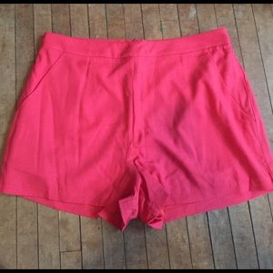 Francesca's high waisted shorts