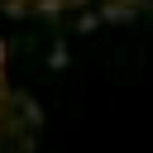 Meet your Posher, Marlee