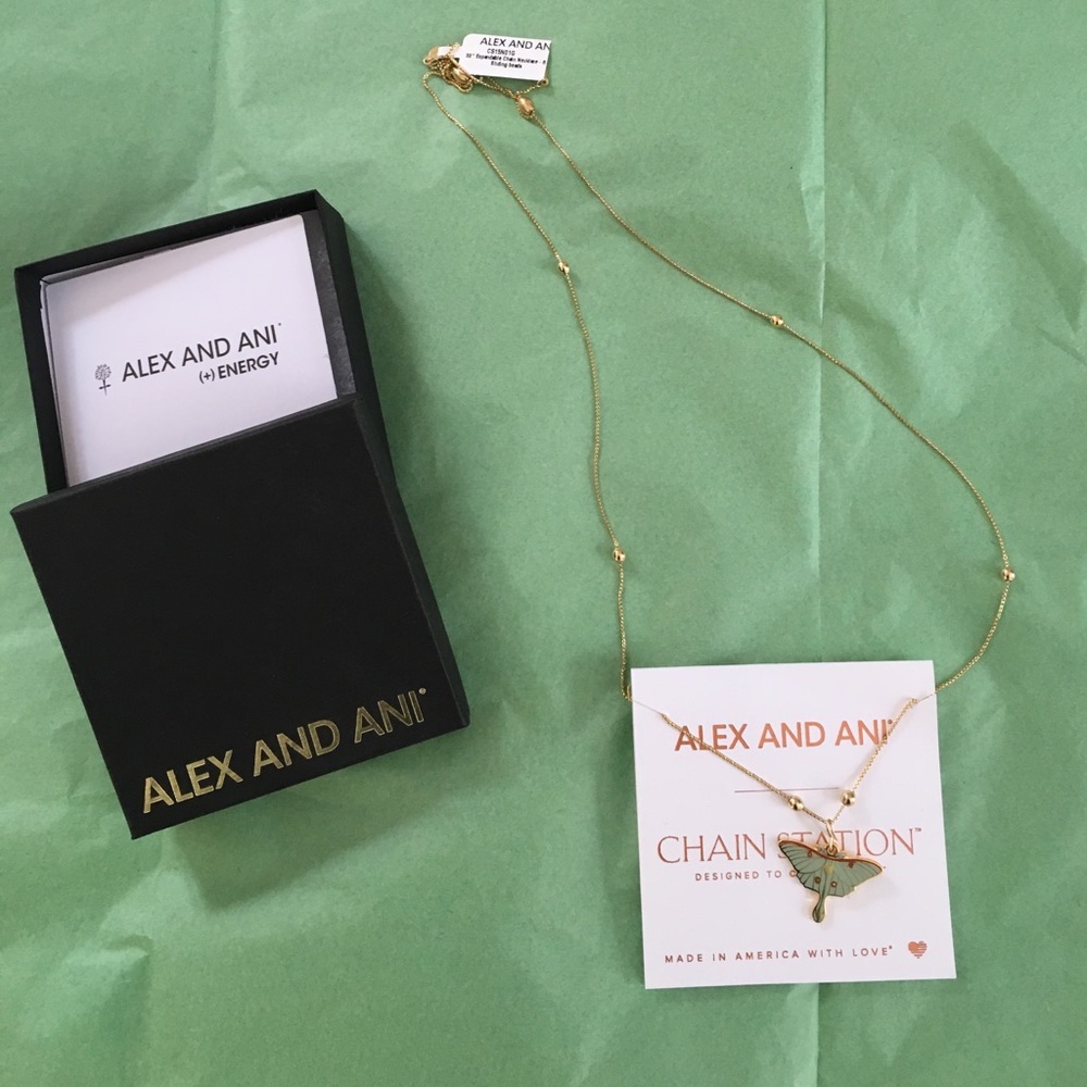 Alex and Ani 16"- 32" expandable chain necklace.