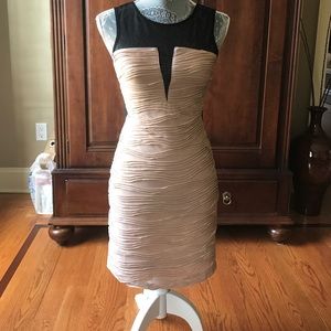 Forever 21 Nude/Black Dress