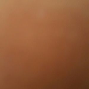 Meet your Posher, Lourdes