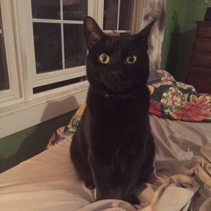 Meet your Posher, Lydia