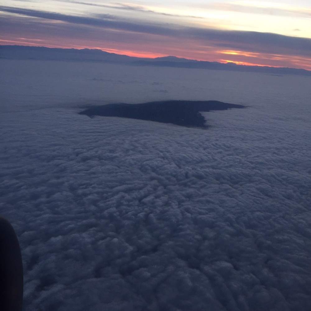 Meet your Posher, Jose