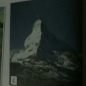 Meet your Posher, Linn