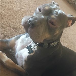 Meet your Posher, Victoria