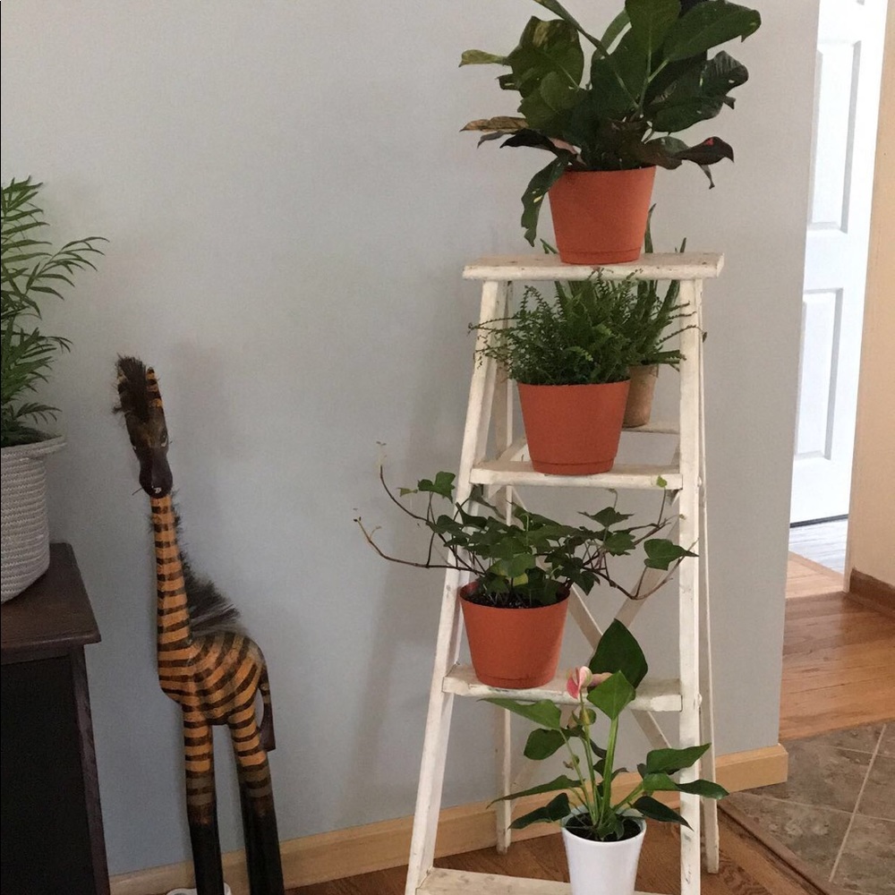 Meet your Posher, Cody