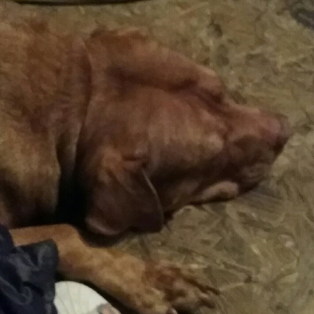 Meet your Posher, James