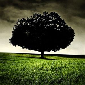 Meet your Posher, Tucker