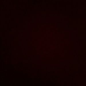 Meet your Posher, Bailey