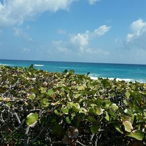 Meet your Posher, Sammy