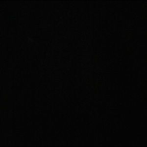 Meet your Posher, Larry