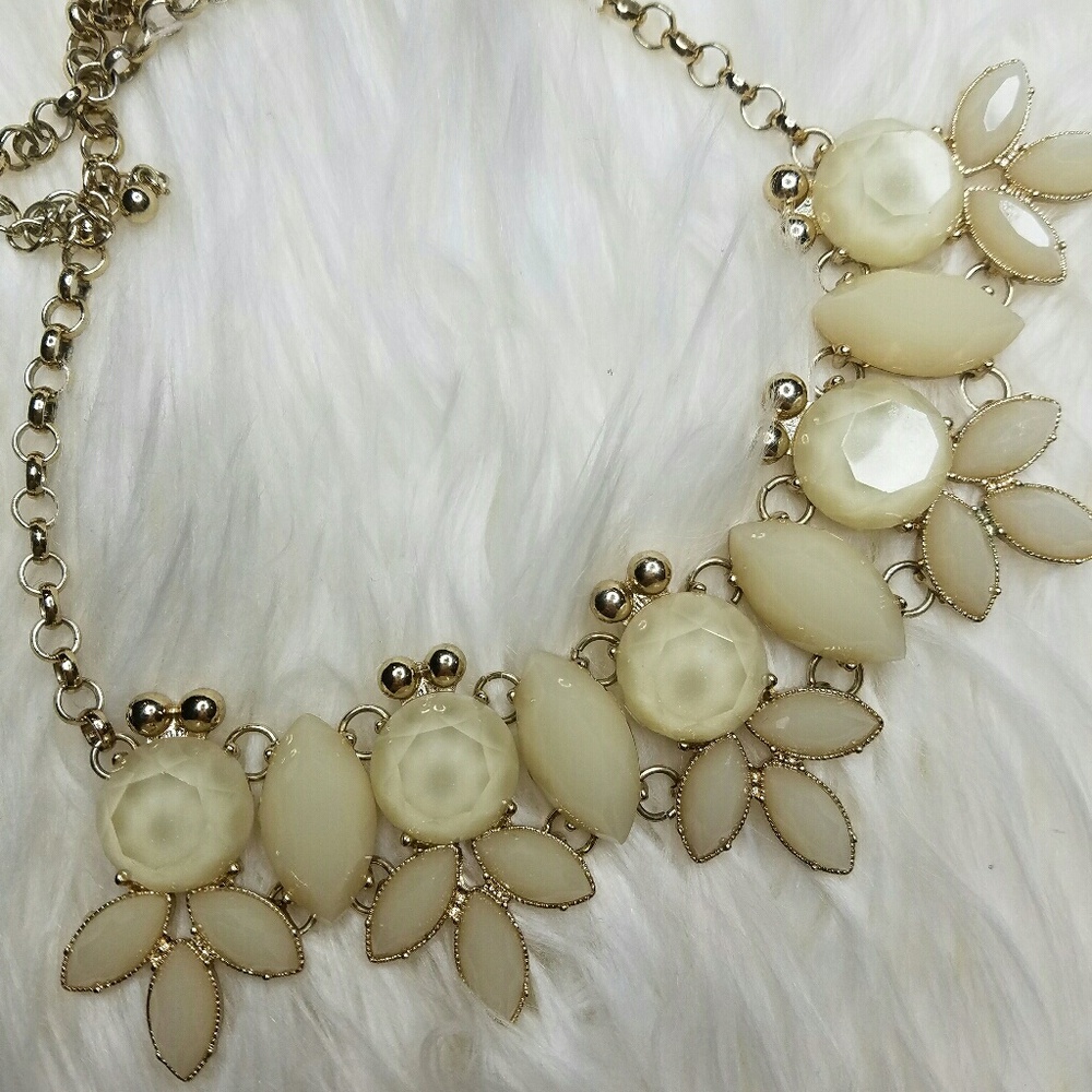 Chunky necklace from Francesca's