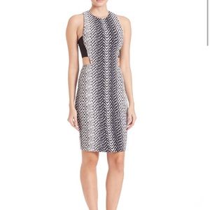 Elizabeth and James - Ikat Phoenix Dress