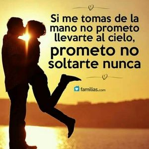 Meet your Posher, Lilly