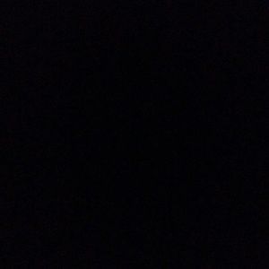 Meet your Posher, Reginald