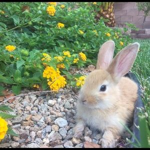 SALE! Visit my closet today & make me an offer!