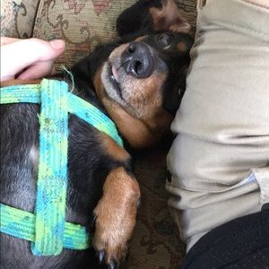 Meet your Posher, Chloe