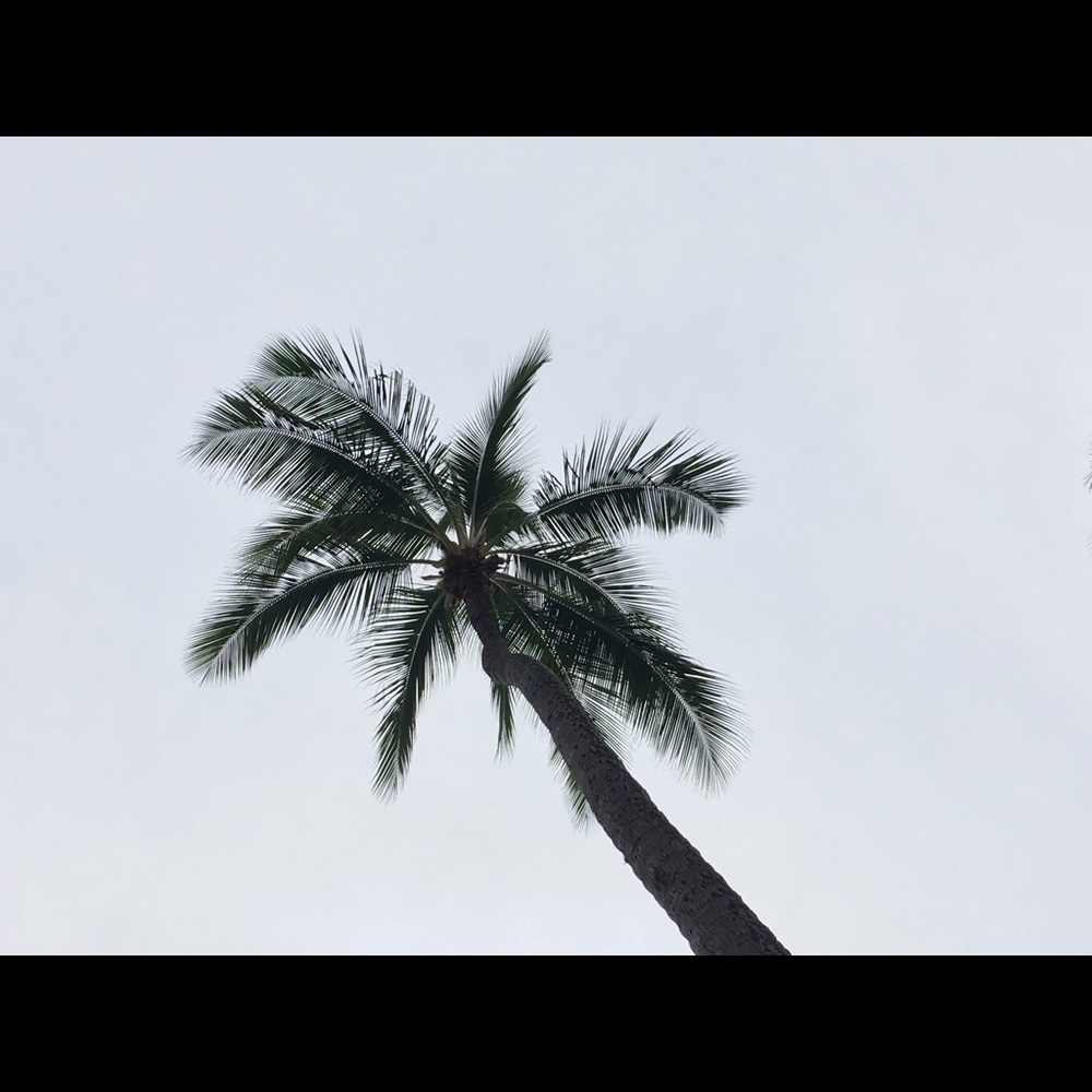 Meet your Posher, Claire