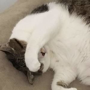 Meet your Posher, Tracey