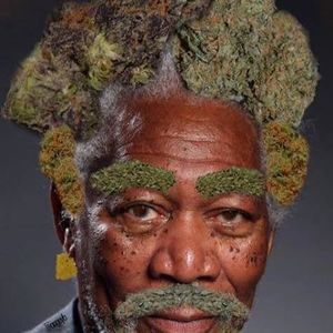 Meet your Posher, Carey