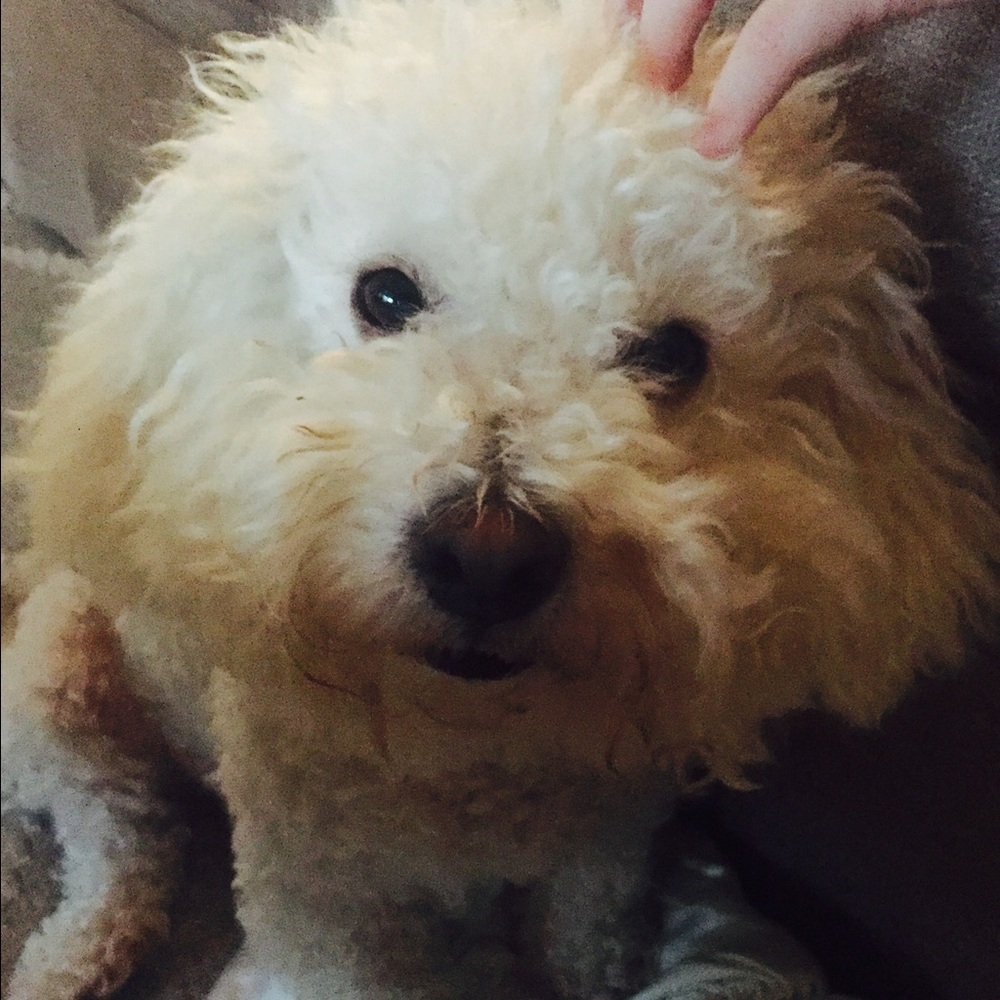 Meet your Posher, Jane