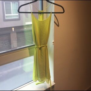 Peiuter green Naked Zebra Dress