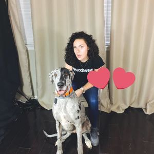 Meet your Posher, Lauren